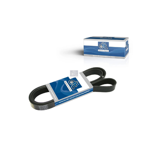 DT Truck Belt 2 by Kings International